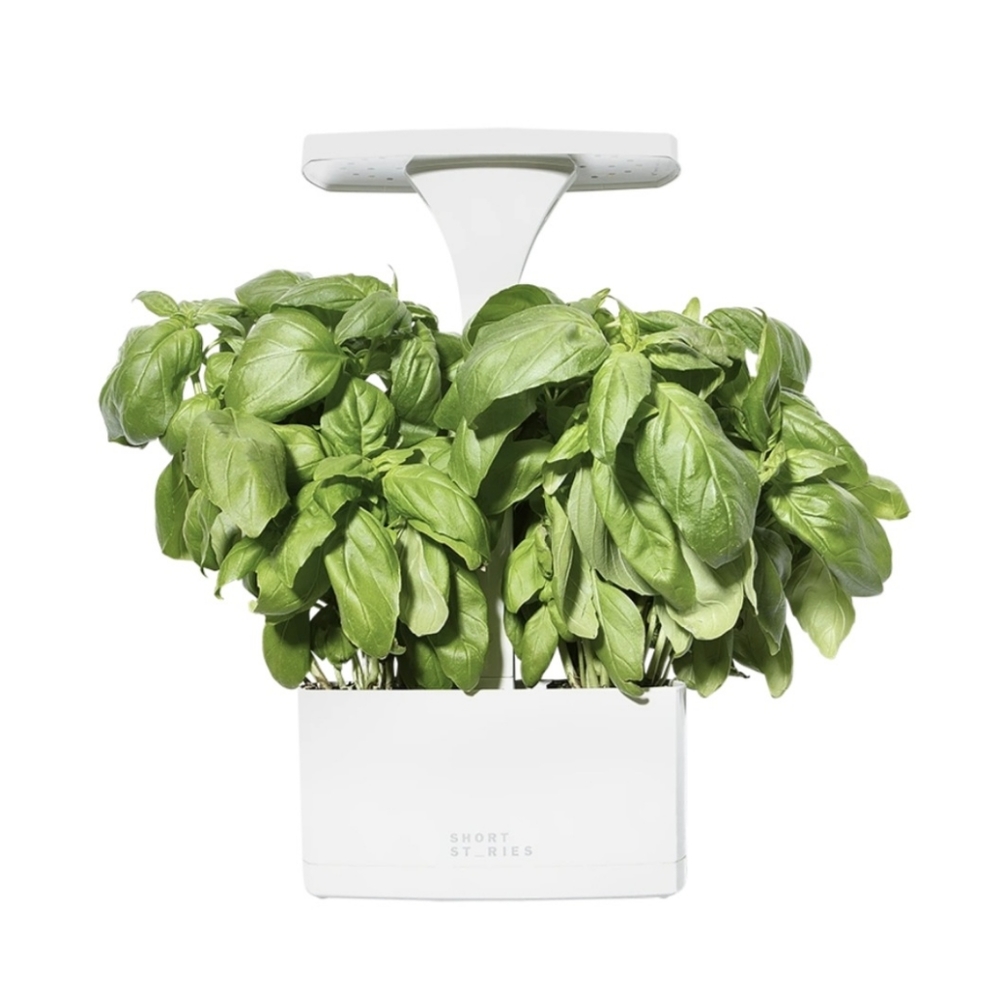 Short Stories LED Indoor Planter